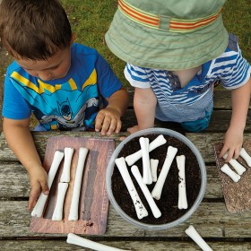 Dinosaur Bones Match & Measure Set