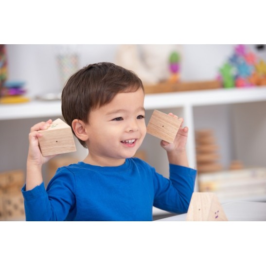 Sound Prism Set of 12