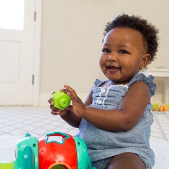 Jumbo Shape Sorter