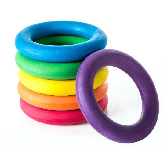 Rainbow Rubber Rings 6"dia Set of 6