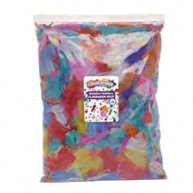 COL-Rainbow Feathers 4 OZ