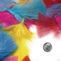 COL-Rainbow Feathers 4 OZ
