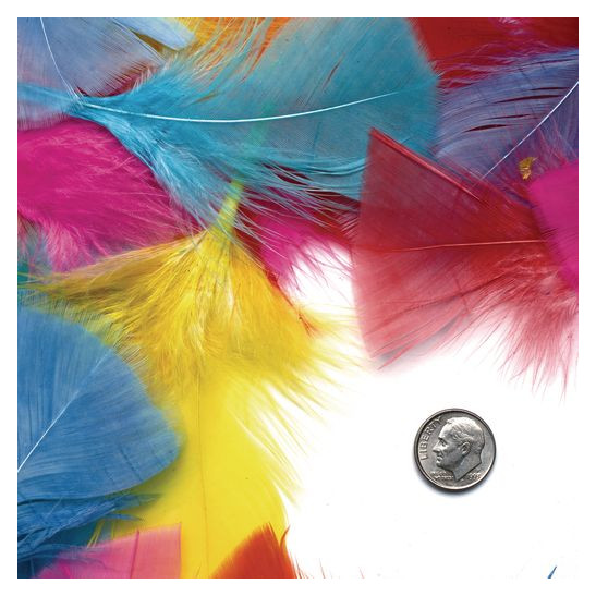 COL-Rainbow Feathers 4 OZ