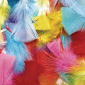 COL-Rainbow Feathers 4 OZ