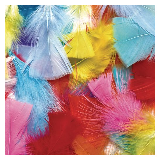COL-Rainbow Feathers 4 OZ