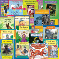 Springboard Levelled Reading Pack of 50