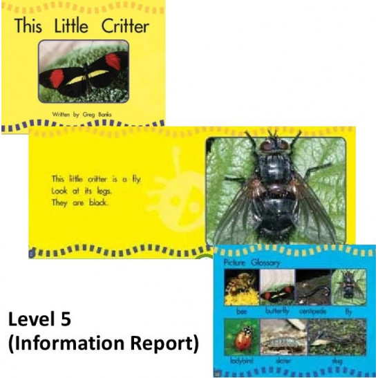 Springboard Levelled Reading Pack of 50