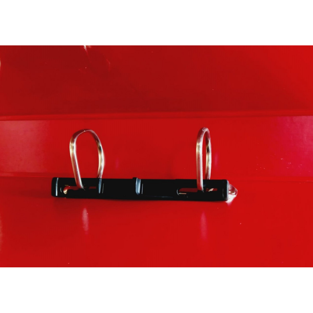 Buy PVC Ring File 2