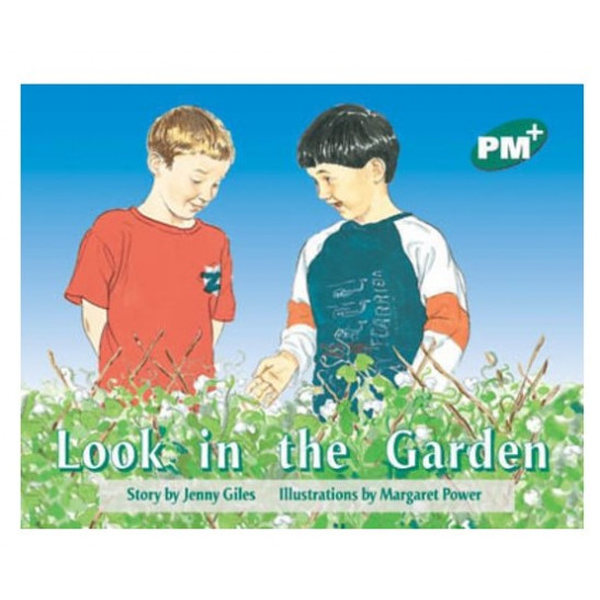 PM Plus Green L12-5:Look In Garden