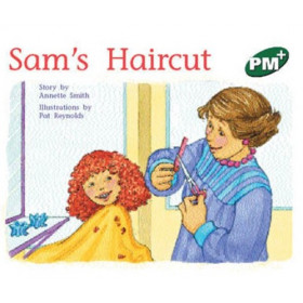 PM Plus Green L13-9:Sam's Haircut
