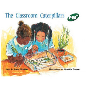 PM Plus Green L13-1:Classrm Caterpillars