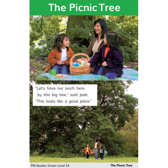 PM Photo Stories Readers - Green Level 12-14 - Pack of 10