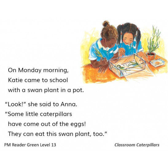 PM Plus Green L13-1:Classrm Caterpillars