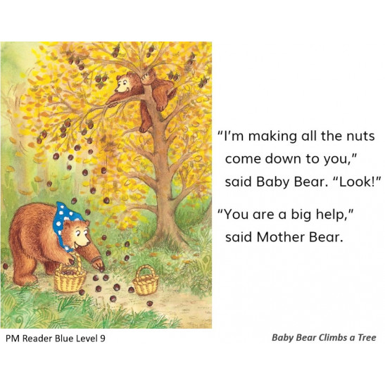PM Plus Blue L9-1:Baby Bear Climbs Tree