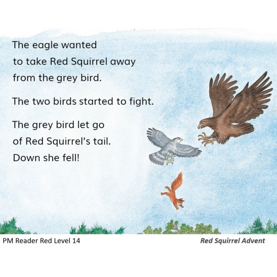 PM Plus Gr L14 Red Squirrel Advent