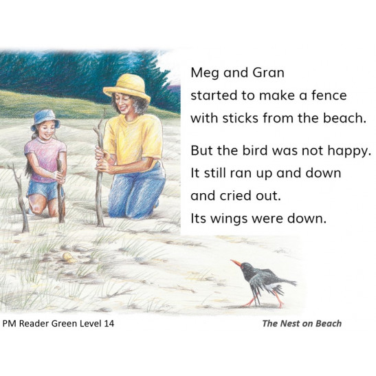 PM Plus Green L14 The Nest on Beach