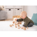 Heuristic Play Wooden Basic Set