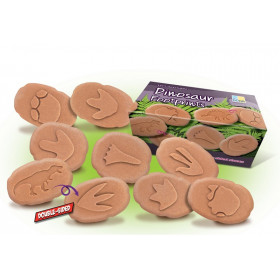 Dinosaur Footprints Set of 8