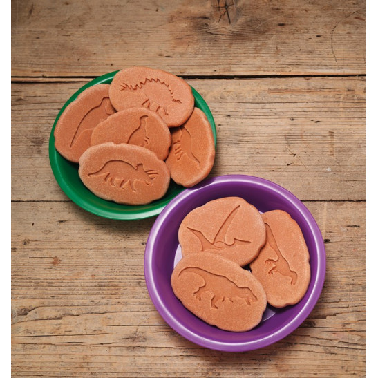 Dinosaur Footprints Set of 8