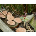 Dinosaur Footprints Set of 8