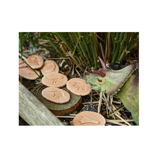 Dinosaur Footprints Set of 8