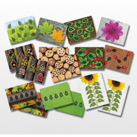 Ladybugs Counting Resources