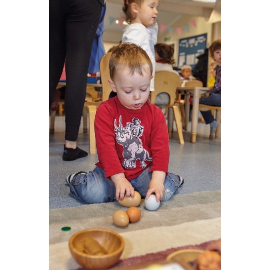 Size-Sorting Eggs
