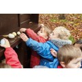 Size-Sorting Eggs