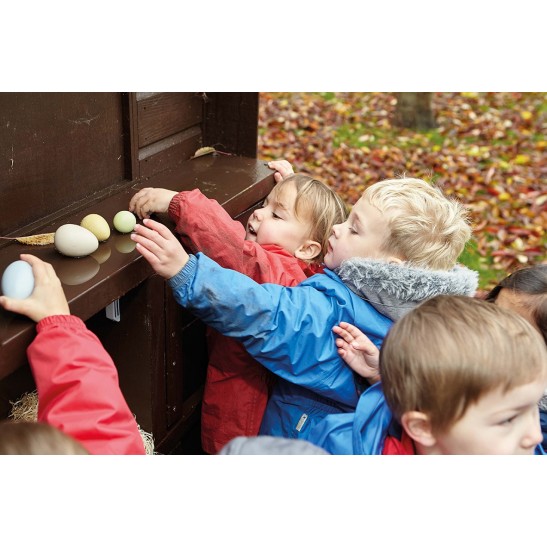Size-Sorting Eggs