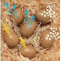 Sensory Sound Eggs Set of 6