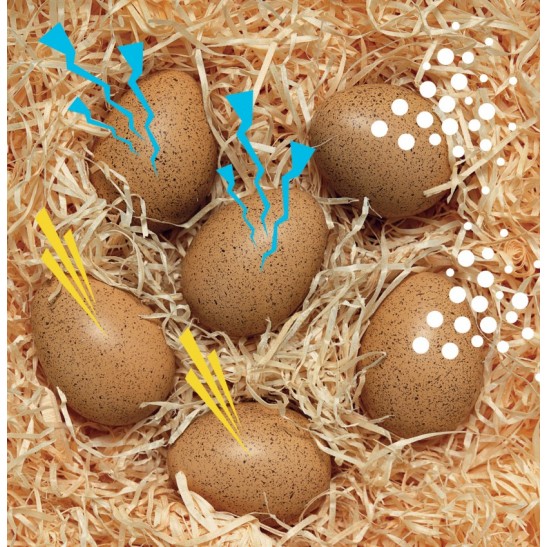 Sensory Sound Eggs Set of 6