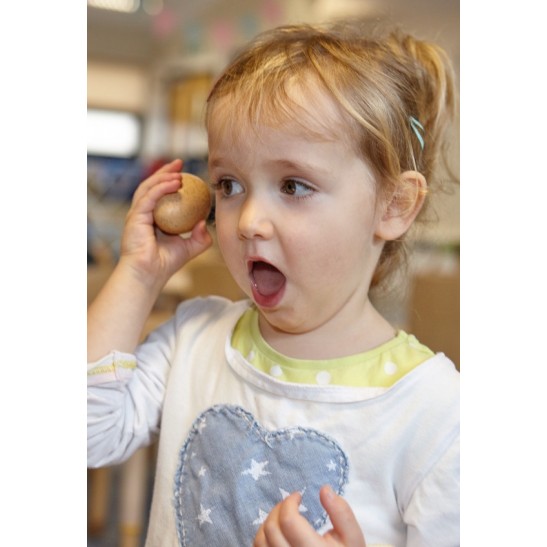 Sensory Sound Eggs Set of 6