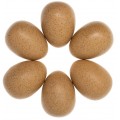 Sensory Sound Eggs Set of 6