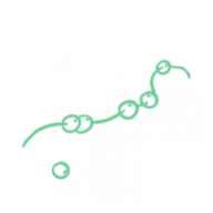 Fine Motor